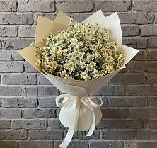 Букет цветов из:  Ромашки в Мстёре