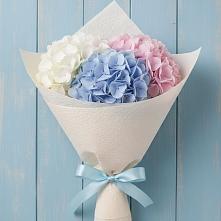 Букет цветов из:  Гортензия в Мстёре