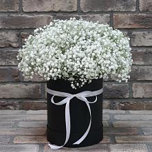 Цветочная композиция из Гипсофила в шляпной коробке в Мстёре